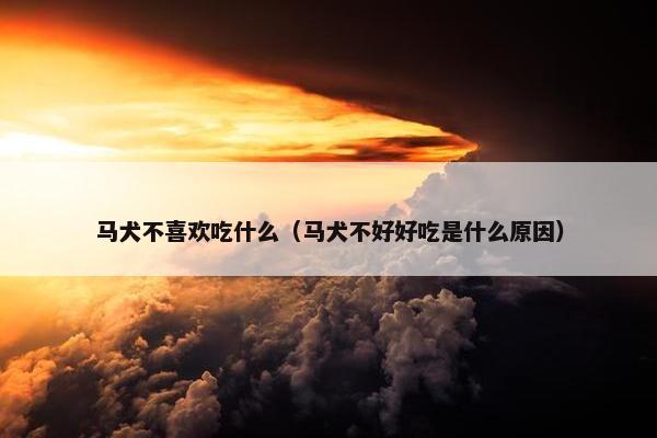 马犬不喜欢吃什么（马犬不好好吃是什么原因）