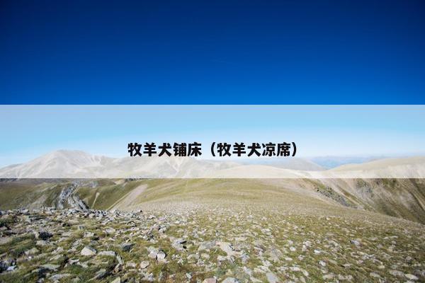 牧羊犬铺床（牧羊犬凉席）