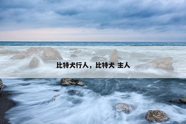 比特犬行人，比特犬 主人