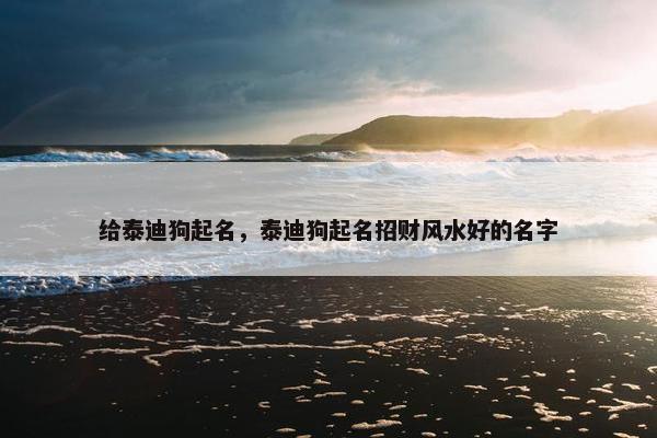 给泰迪狗起名，泰迪狗起名招财风水好的名字
