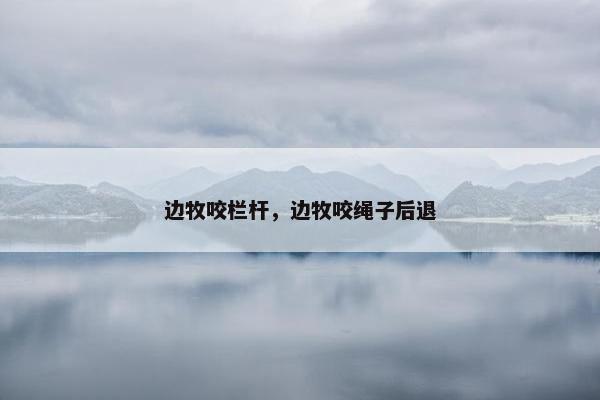 边牧咬栏杆，边牧咬绳子后退