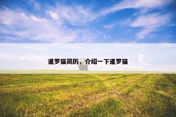 暹罗猫简历，介绍一下暹罗猫