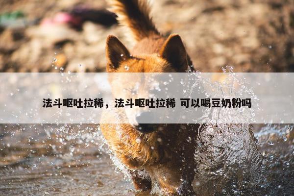 法斗呕吐拉稀，法斗呕吐拉稀 可以喝豆奶粉吗