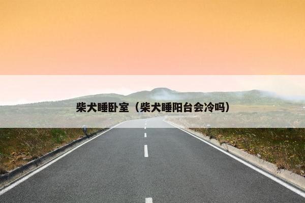 柴犬睡卧室（柴犬睡阳台会冷吗）