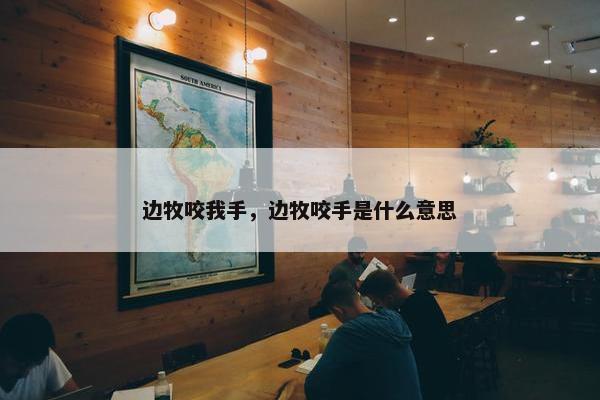 边牧咬我手，边牧咬手是什么意思