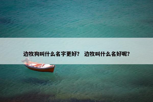 边牧狗叫什么名字更好？ 边牧叫什么名好呢？