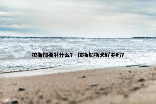 拉斯加要补什么？ 拉斯加斯犬好养吗？