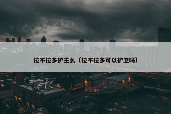 拉不拉多护主么（拉不拉多可以护卫吗）