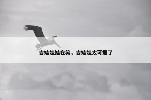 吉娃娃娃在笑，吉娃娃太可爱了