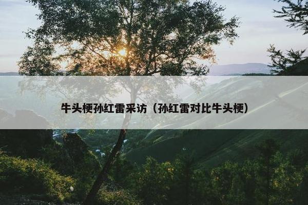 牛头梗孙红雷采访（孙红雷对比牛头梗）