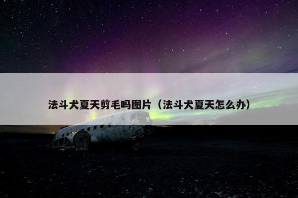 法斗犬夏天剪毛吗图片（法斗犬夏天怎么办）