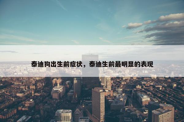 泰迪狗出生前症状，泰迪生前最明显的表现