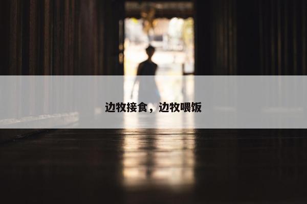 边牧接食，边牧喂饭