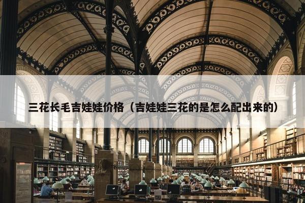 三花长毛吉娃娃价格（吉娃娃三花的是怎么配出来的）