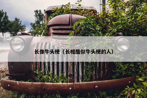 长像牛头梗（长相酷似牛头梗的人）
