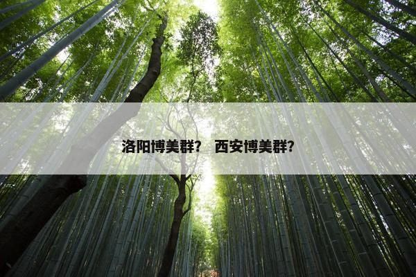 洛阳博美群？ 西安博美群？