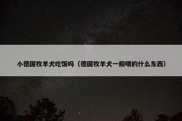 小德国牧羊犬吃饭吗（德国牧羊犬一般喂的什么东西）