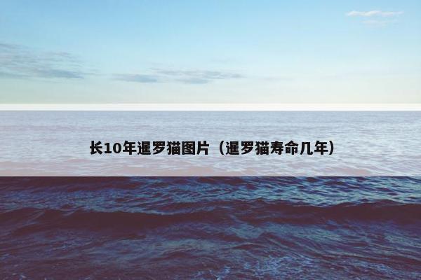 长10年暹罗猫图片（暹罗猫寿命几年）