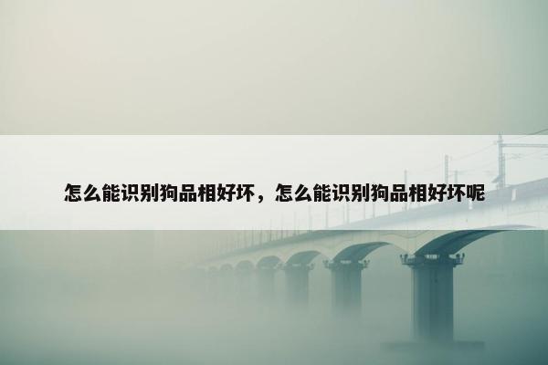 怎么能识别狗品相好坏，怎么能识别狗品相好坏呢