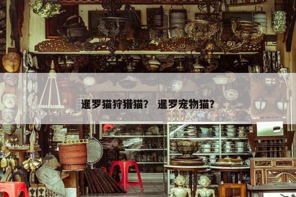 暹罗猫狩猎猫？ 暹罗宠物猫？