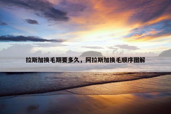 拉斯加换毛期要多久，阿拉斯加换毛顺序图解