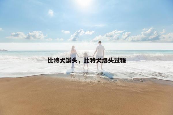比特犬罐头，比特犬爆头过程
