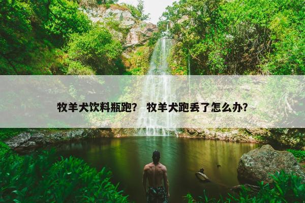 牧羊犬饮料瓶跑？ 牧羊犬跑丢了怎么办？