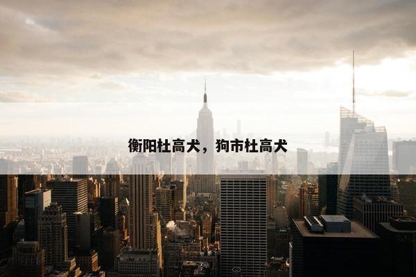 衡阳杜高犬，狗市杜高犬