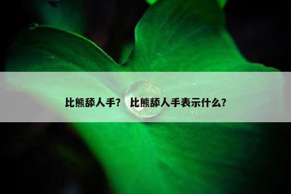 比熊舔人手？ 比熊舔人手表示什么？