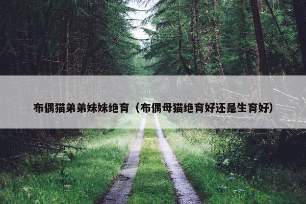 布偶猫弟弟妹妹绝育（布偶母猫绝育好还是生育好）
