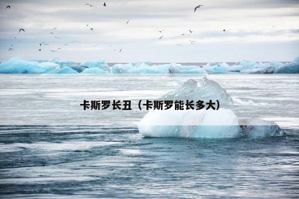 卡斯罗长丑（卡斯罗能长多大）