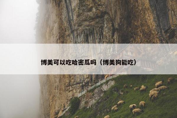 博美可以吃哈密瓜吗（博美狗能吃）