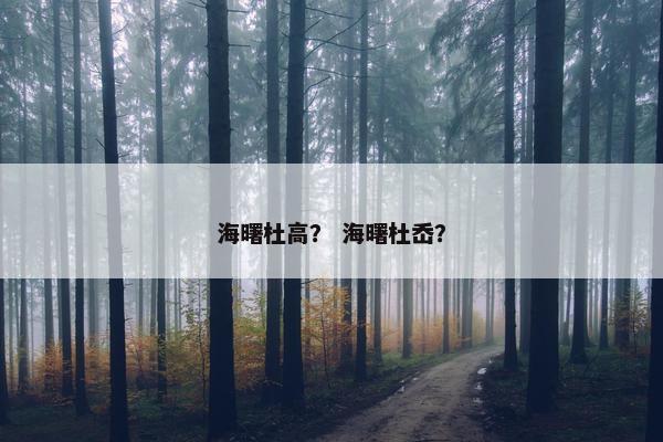 海曙杜高？ 海曙杜岙？