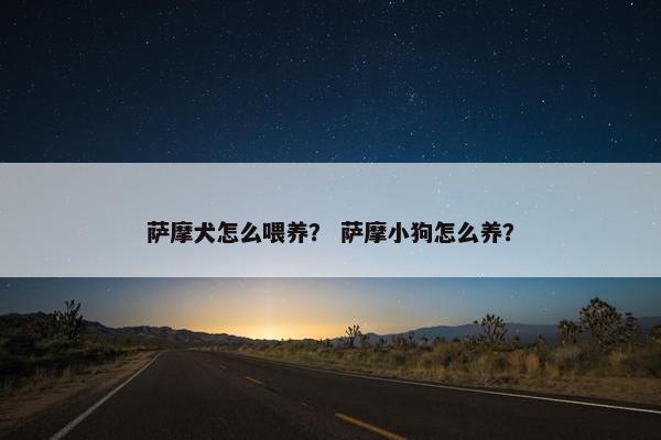 萨摩犬怎么喂养？ 萨摩小狗怎么养？