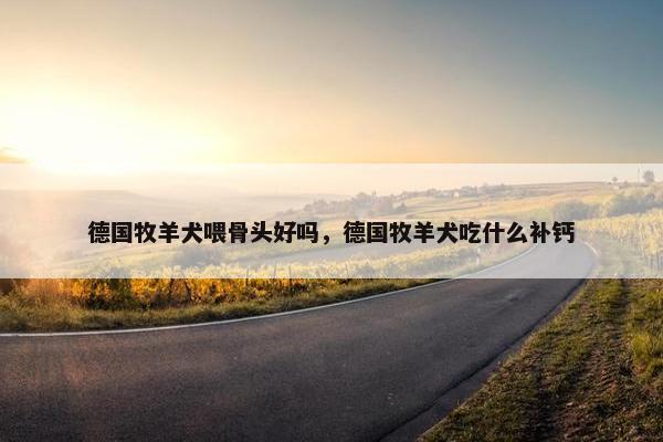 德国牧羊犬喂骨头好吗，德国牧羊犬吃什么补钙
