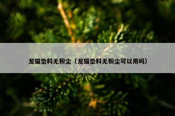 龙猫垫料无粉尘（龙猫垫料无粉尘可以用吗）