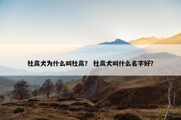 杜高犬为什么叫杜高？ 杜高犬叫什么名字好？