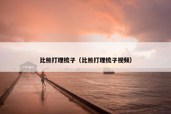 比熊打理梳子（比熊打理梳子视频）