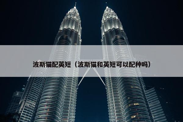 波斯猫配英短（波斯猫和英短可以配种吗）