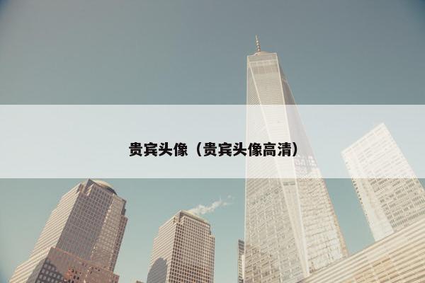 贵宾头像（贵宾头像高清）