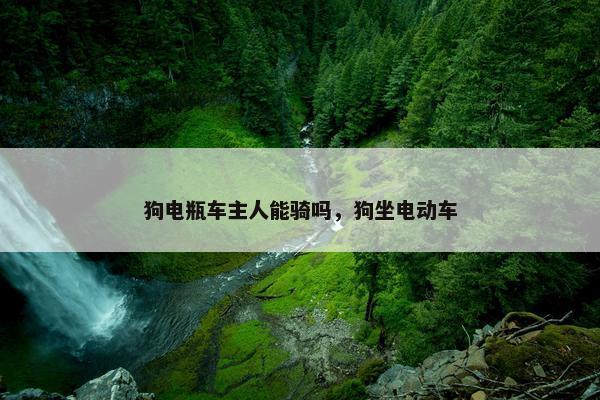 狗电瓶车主人能骑吗，狗坐电动车