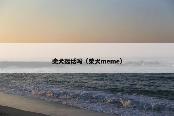 柴犬挺话吗（柴犬meme）