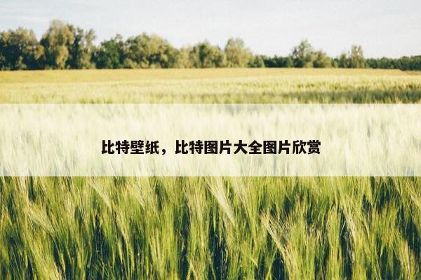 比特壁纸，比特图片大全图片欣赏