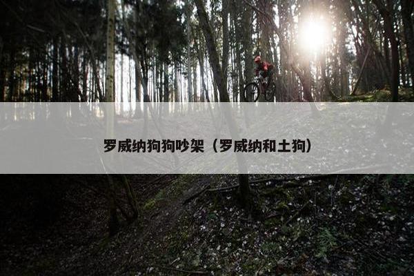 罗威纳狗狗吵架（罗威纳和土狗）