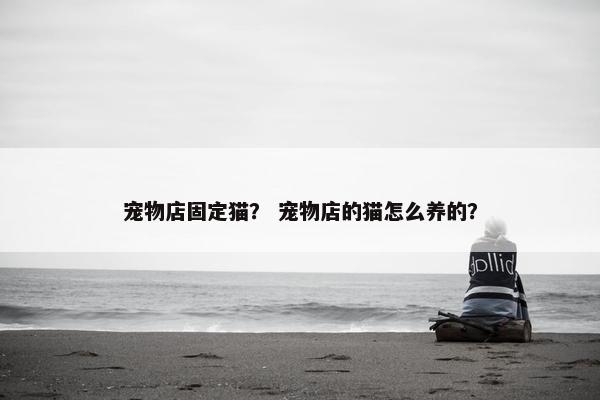 宠物店固定猫？ 宠物店的猫怎么养的？