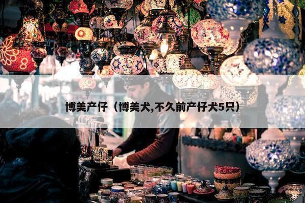 博美产仔（博美犬,不久前产仔犬5只）