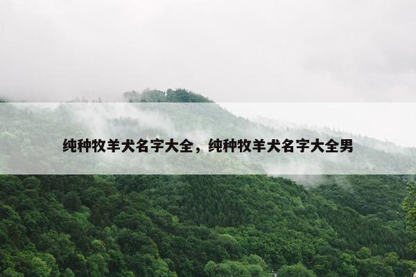 纯种牧羊犬名字大全，纯种牧羊犬名字大全男