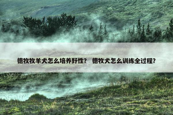 德牧牧羊犬怎么培养野性？ 德牧犬怎么训练全过程？