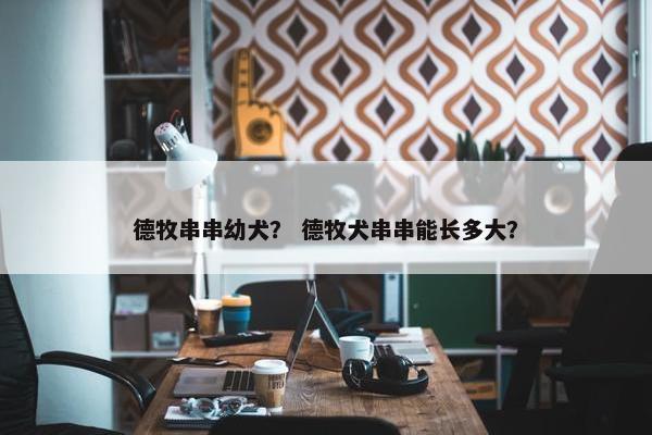 德牧串串幼犬？ 德牧犬串串能长多大？
