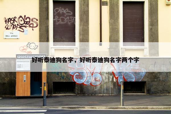 好听泰迪狗名字，好听泰迪狗名字两个字